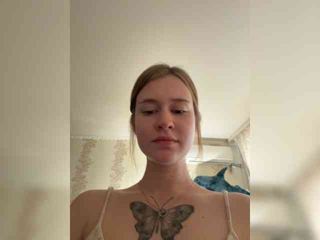 Lisakisaa