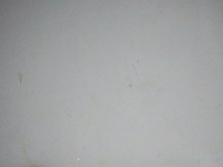 Isabellah's Live Webcam