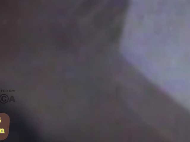 AsyNox live cam on BongaCams