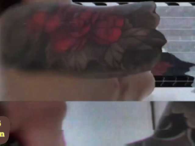 AsyNox live cam on BongaCams