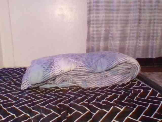 Pocketdoll09 webcam