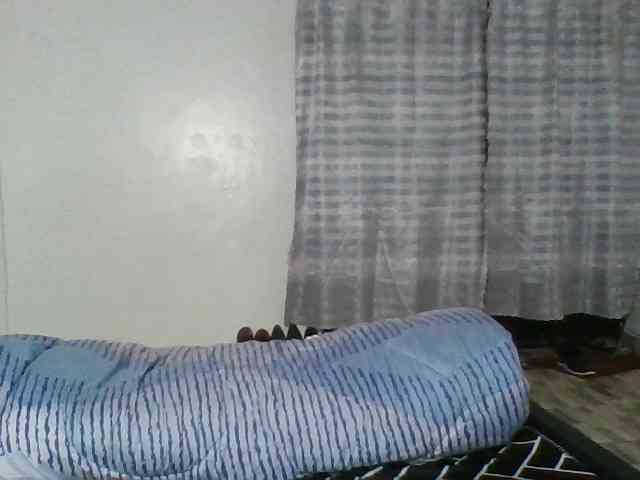 Pocketdoll09 webcam