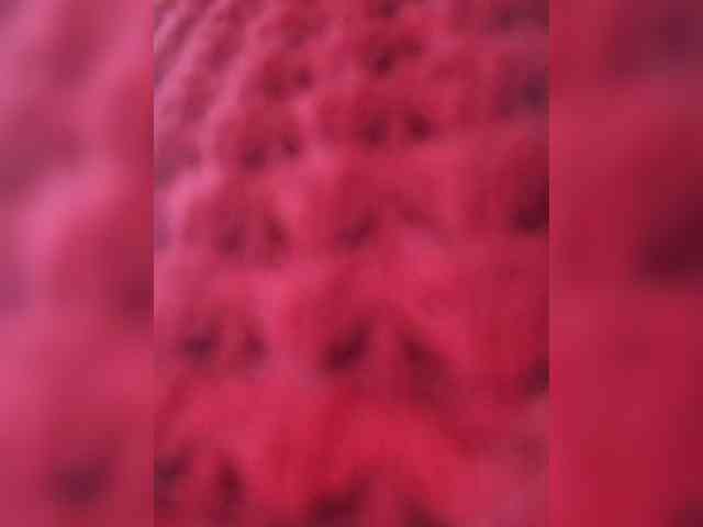 Roousehot webcam