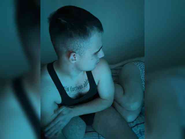 D3SVULT webcam