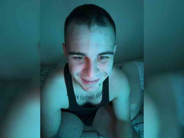 D3SVULT webcam