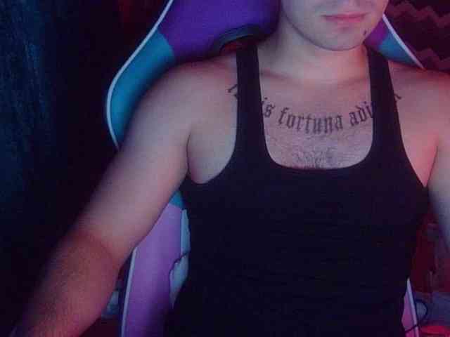 D3SVULT webcam