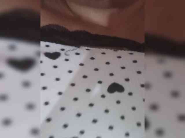 BellaFox-1 webcam