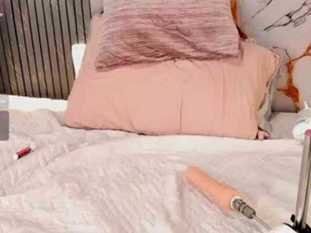 Catthleya webcam