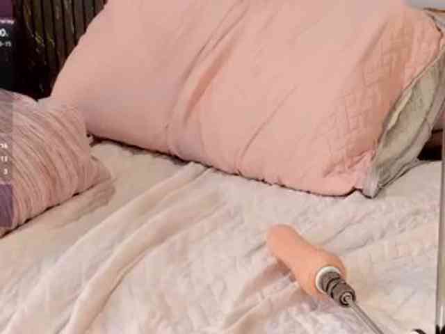 Catthleya webcam