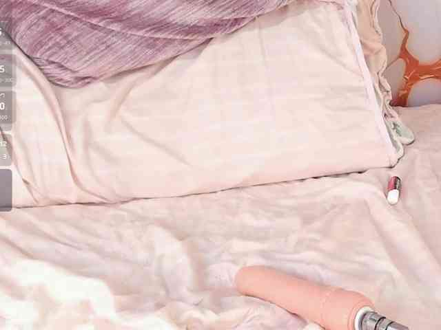 Catthleya webcam