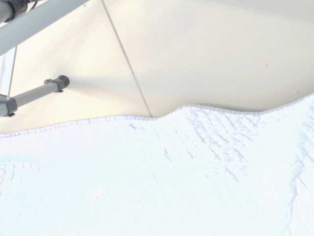 Niickypurple live cam preview