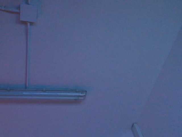 Niickypurple live cam preview