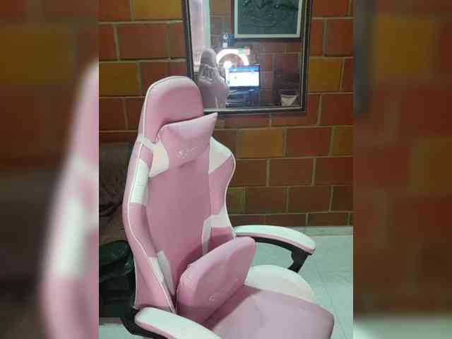 EvaStar webcam