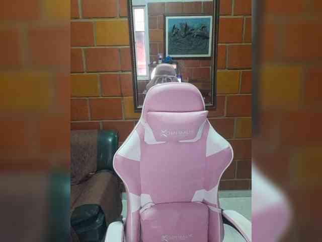 EvaStar webcam