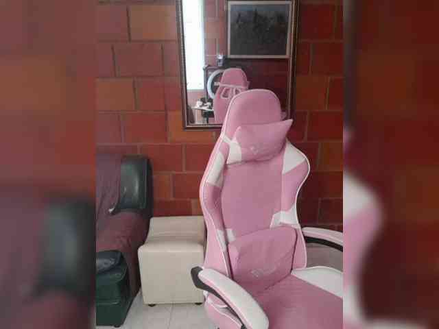 EvaStar webcam
