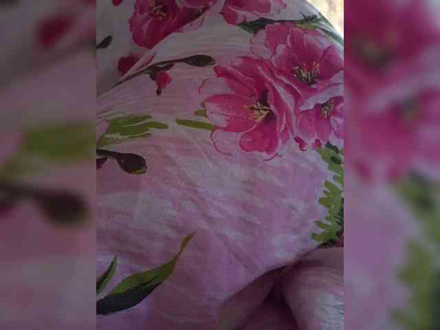Krasava-86 webcam