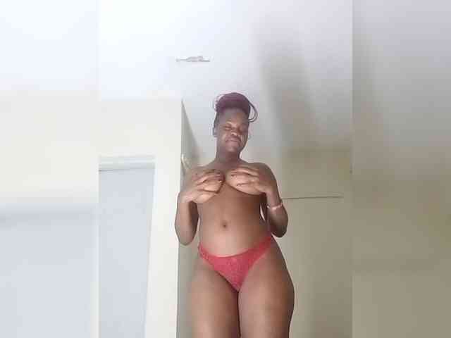 mishy254