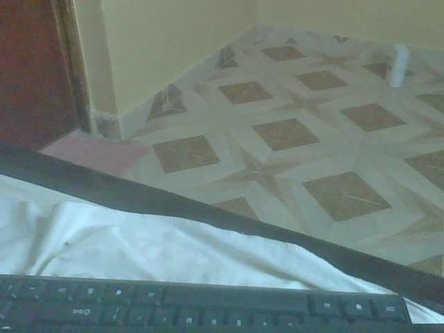 Leximia — live female cam