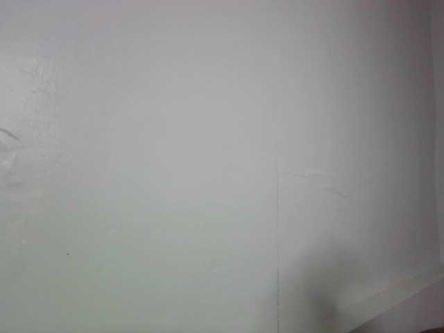 Leximia live cam on BongaCams