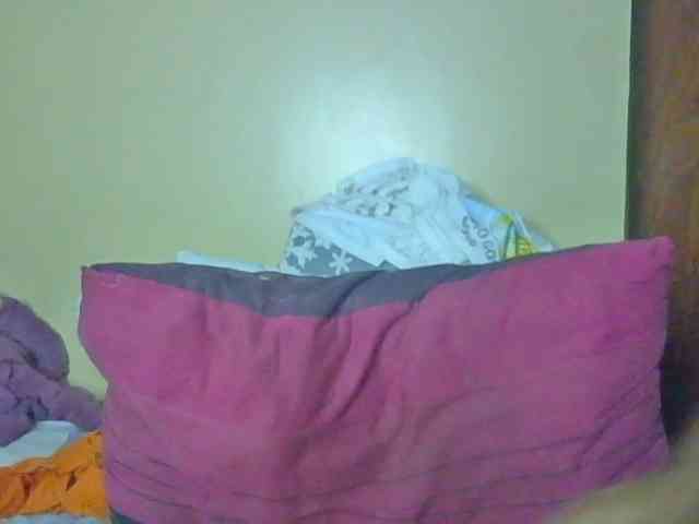 Leximia webcam