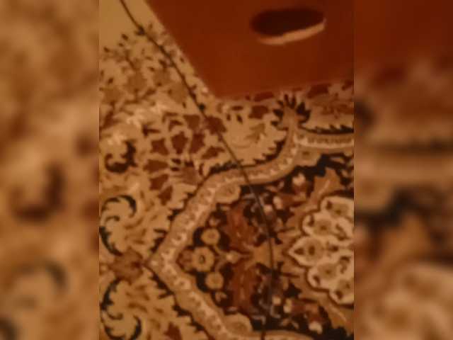 Evelel1
