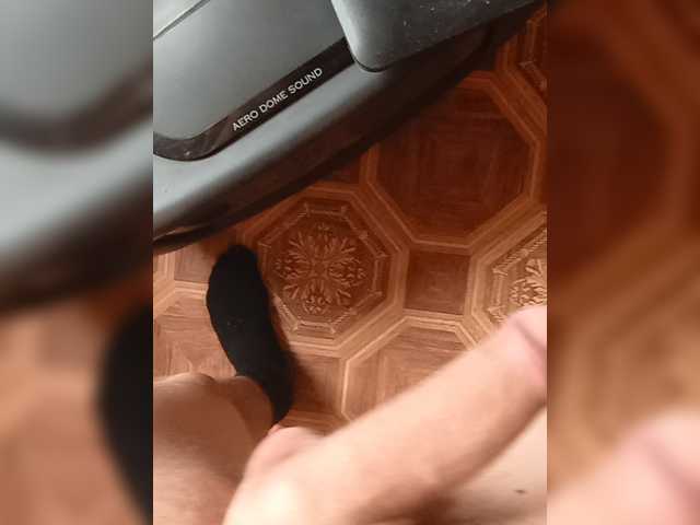 Evelel1