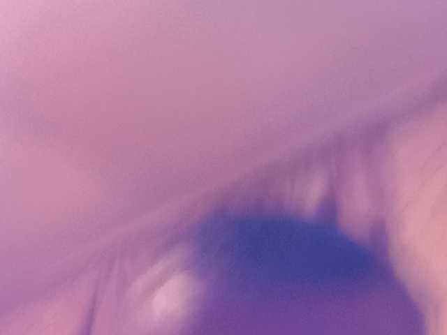 Evelel1