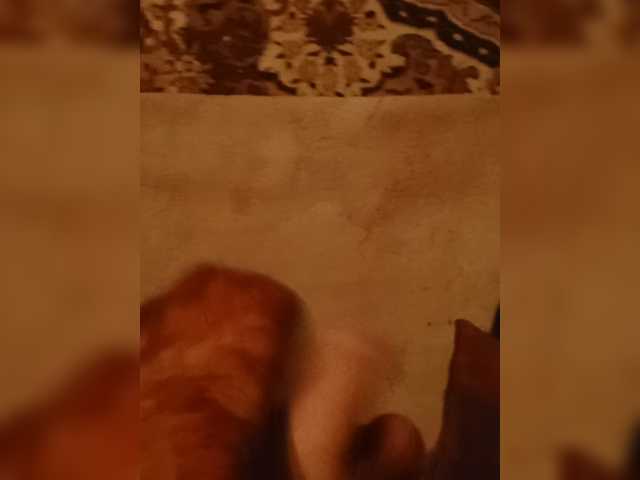 Evelel1