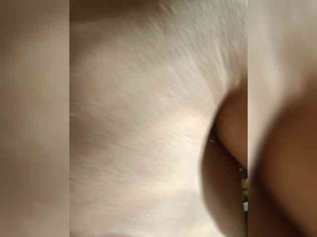 Evelel1