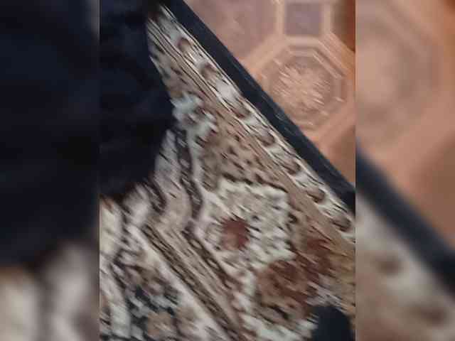 Evelel1