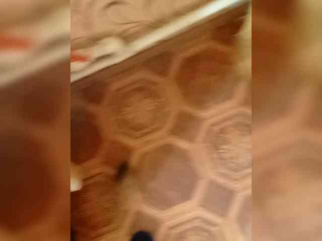 Evelel1