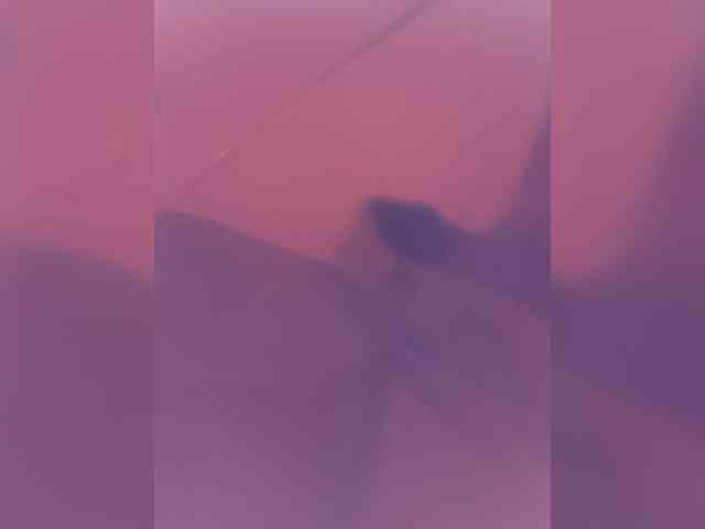 Evelel1