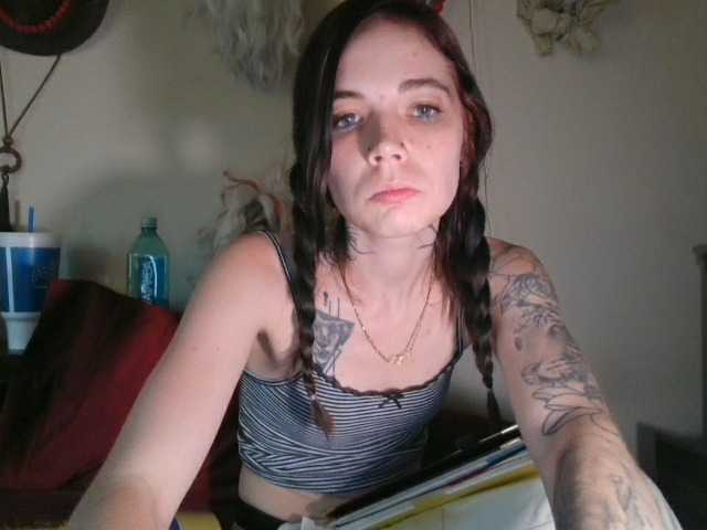 kittycontrabandkat