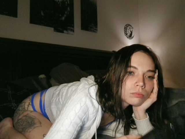 kittycontrabandkat