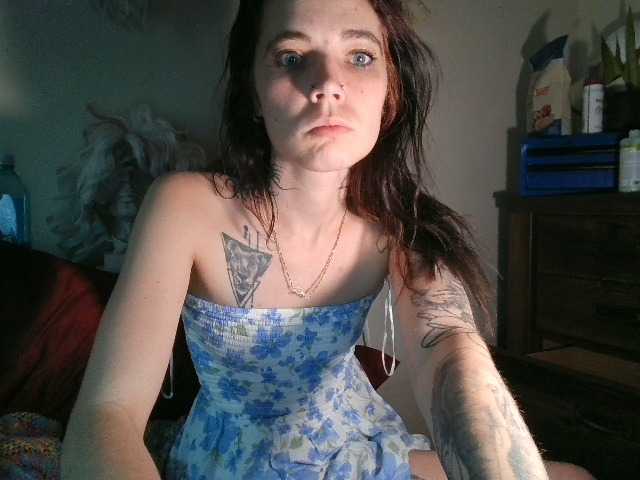 kittycontrabandkat