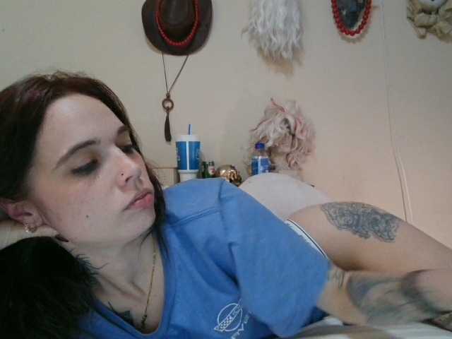 kittycontrabandkat