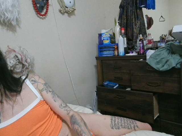 kittycontrabandkat
