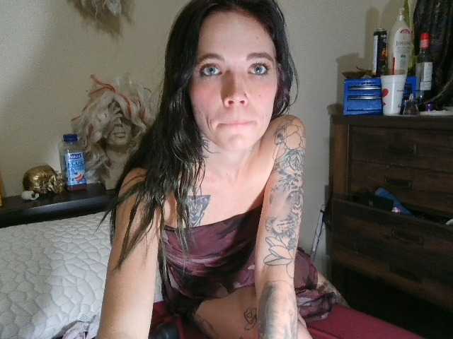 kittycontrabandkat