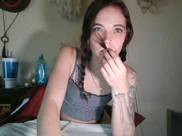 kittycontrabandkat