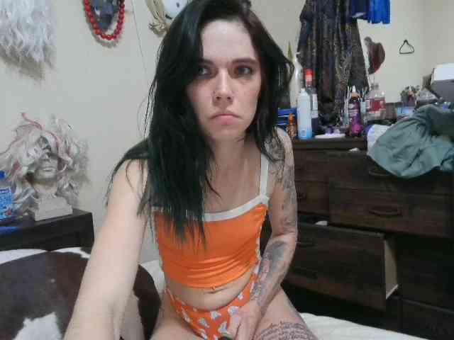 kittycontrabandkat