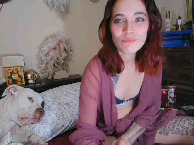 kittycontrabandkat