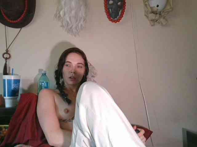 kittycontrabandkat