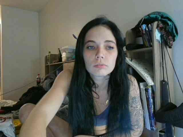 kittycontrabandkat