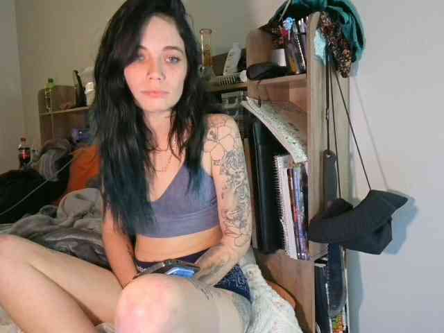 kittycontrabandkat