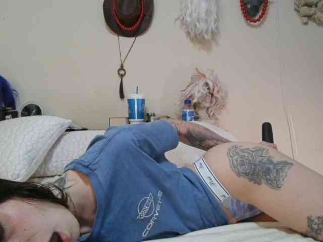 kittycontrabandkat