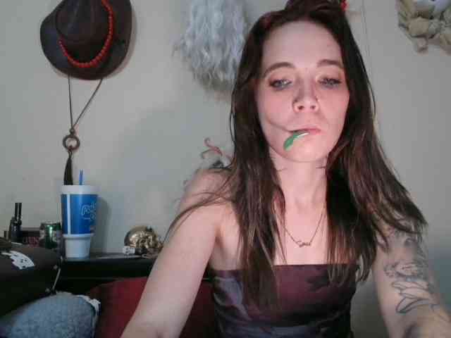 kittycontrabandkat
