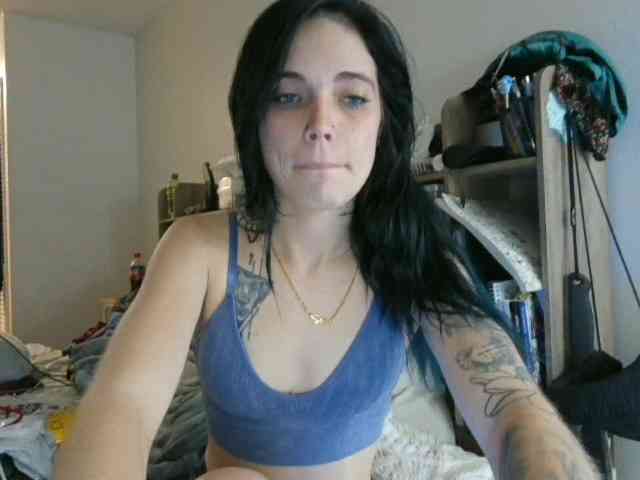kittycontrabandkat