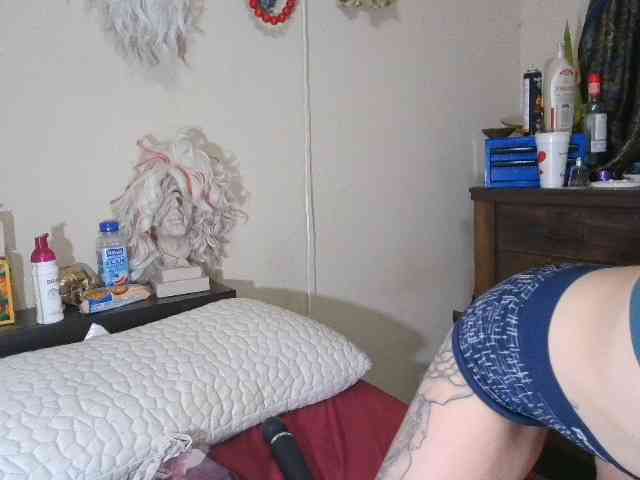 kittycontrabandkat kittycontrabandkat