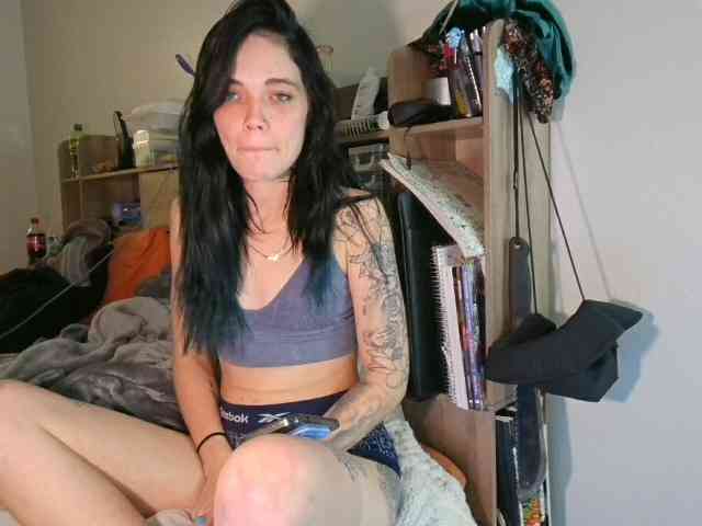kittycontrabandkat