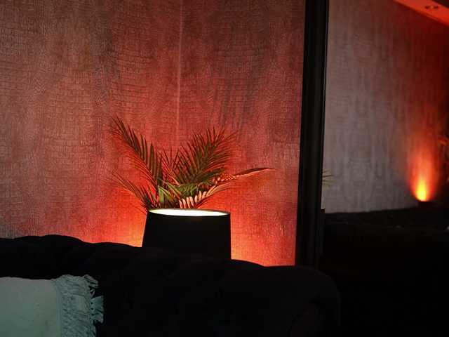 DaisySecret live cam on BongaCams